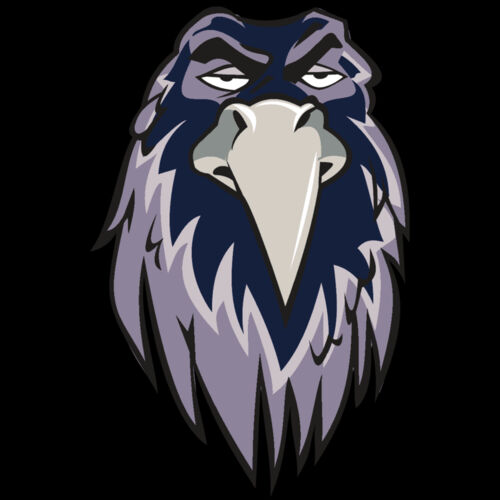 RAVEN HD0502 RQC Thumbnail