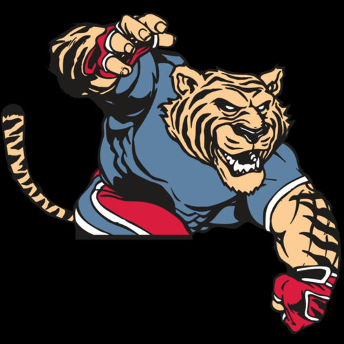 AR TIGER 30 RC Thumbnail