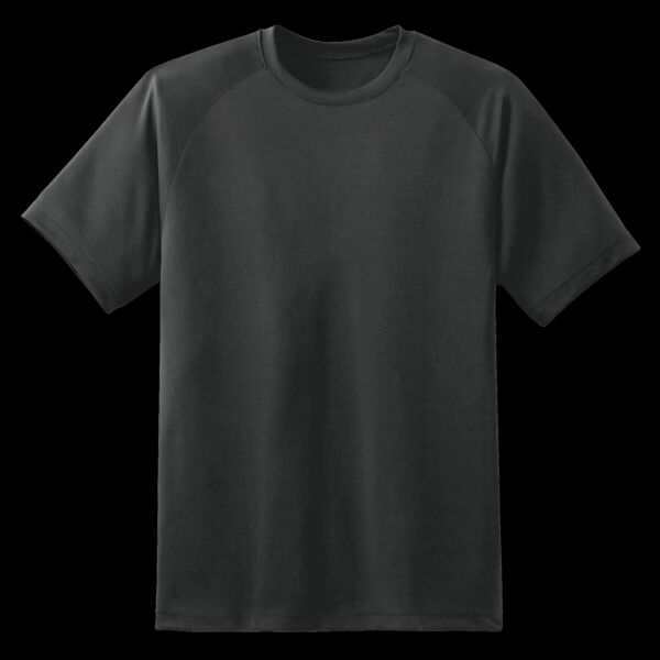Dry Zone™ Short Sleeve Raglan T Shirt Thumbnail