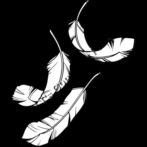 ESfeathers001bw Thumbnail