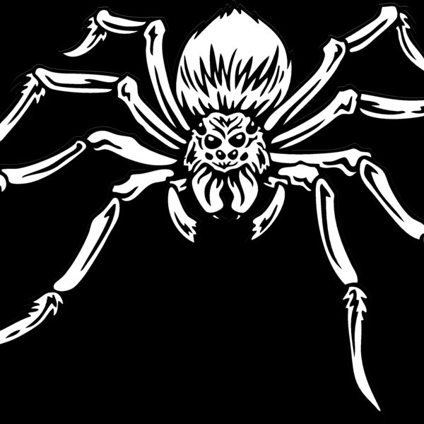 ESspider004bw Thumbnail