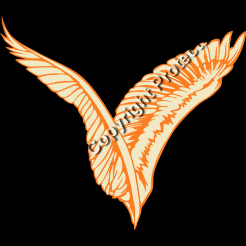 ESwings025clr Thumbnail