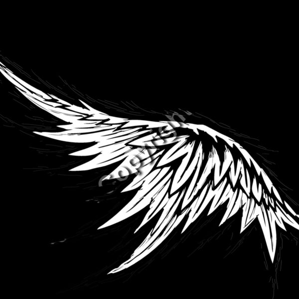 ESwings022bw Thumbnail