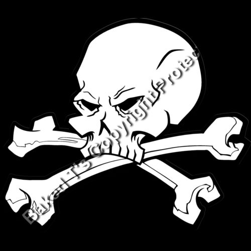 ESskull037bw Thumbnail