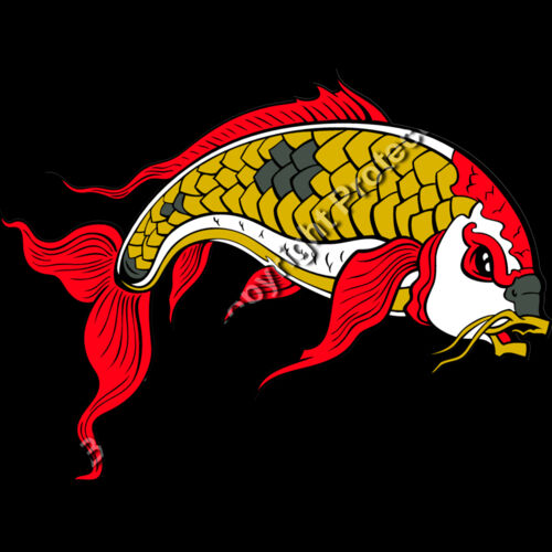 ES2asiankoi008clr Thumbnail