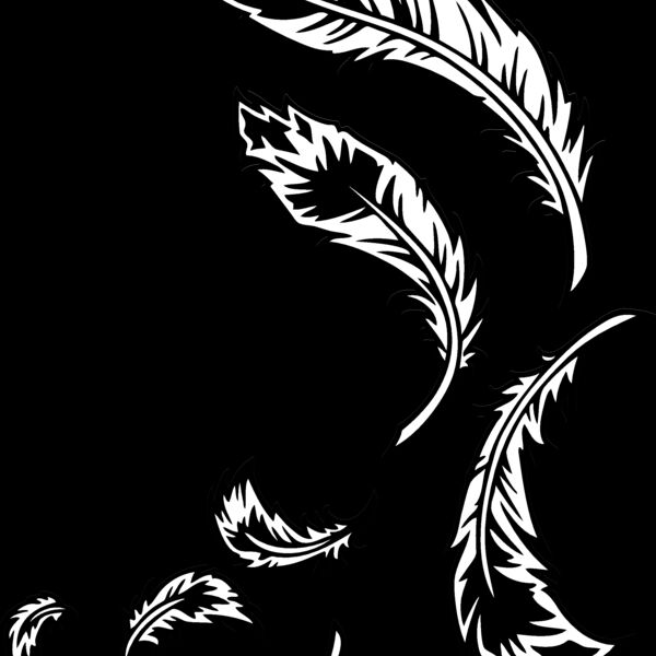 ES2feathers003BW Thumbnail