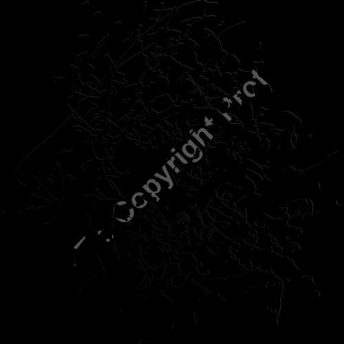 ES2splat022bw Thumbnail