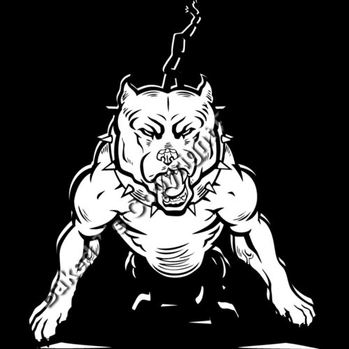 ES2pitbull001BW Thumbnail