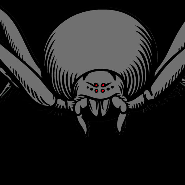 ES2spider007clr Thumbnail