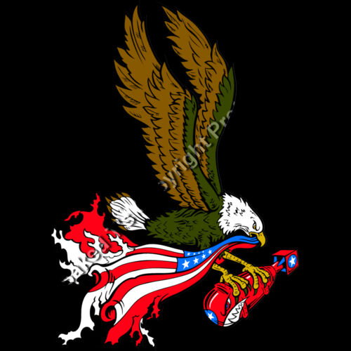 ES2patriotic001clr Thumbnail