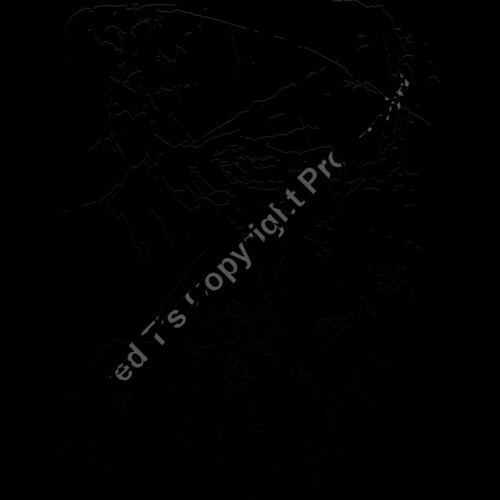 ES2splat010bw Thumbnail