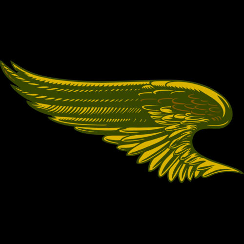 ES2wings027clr Thumbnail