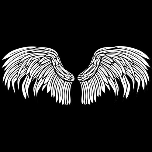 ES2wings028bw Thumbnail