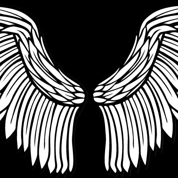 ES2wings028bw Thumbnail