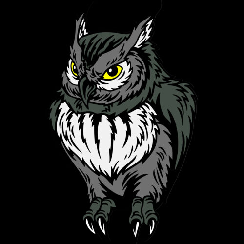 ES2owl003CLR Thumbnail