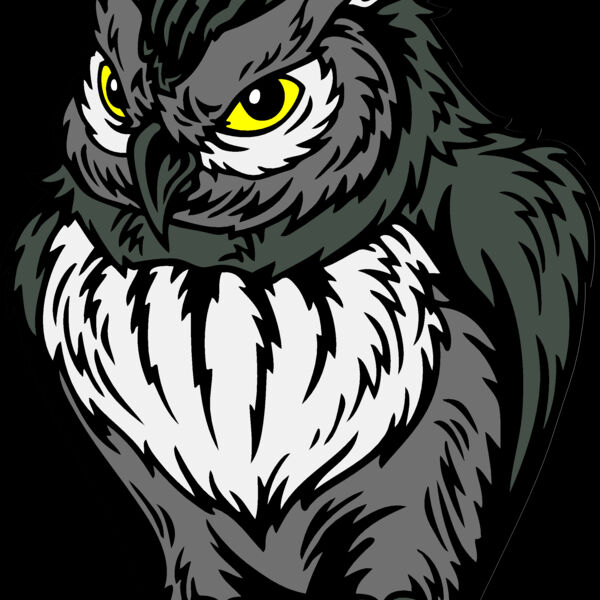 ES2owl003CLR Thumbnail