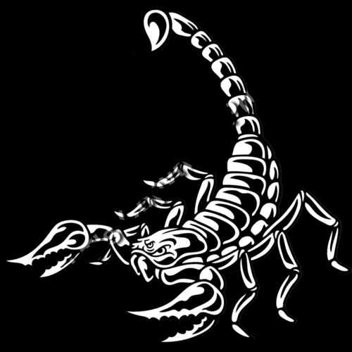 ES2scorpion002BW Thumbnail