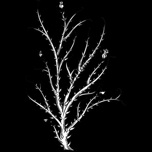 ES2thorns004bw Thumbnail