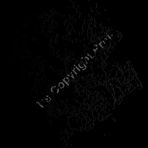 ES2splat002bw Thumbnail