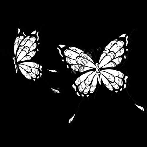 ES2butterfly002bw Thumbnail