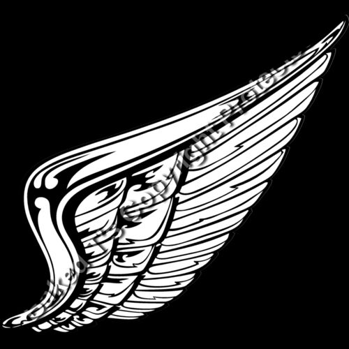 ES2wings008BW Thumbnail