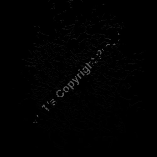 ES2splat019bw Thumbnail