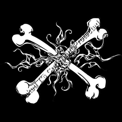 ES2bones005bw Thumbnail