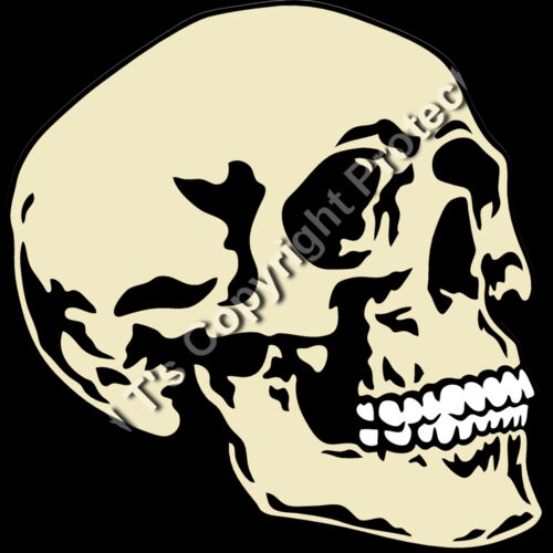 ES2skull016CLR Thumbnail