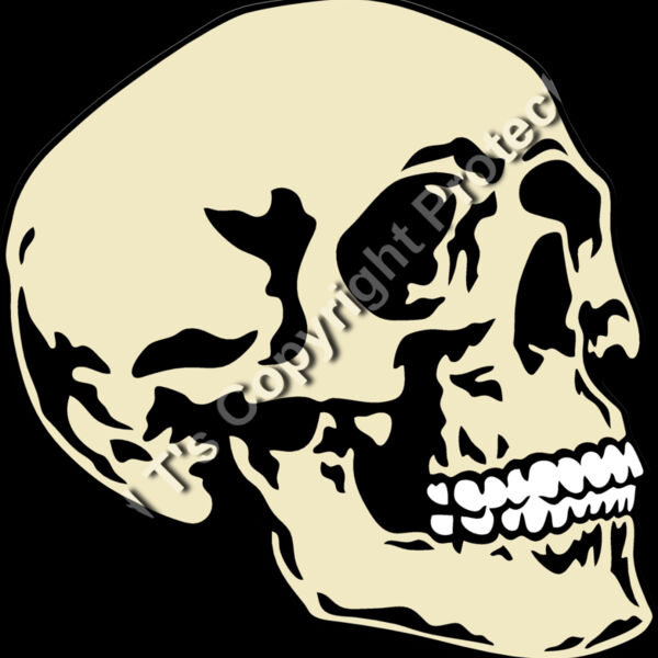 ES2skull016CLR Thumbnail