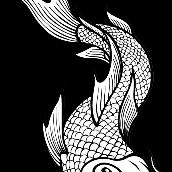 ES2asiankoi002bw Thumbnail