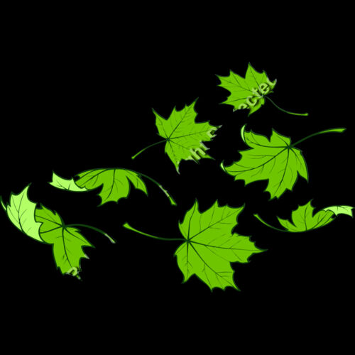 ES2leaves001clr Thumbnail