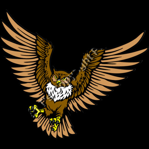 ES2owl001CLR Thumbnail