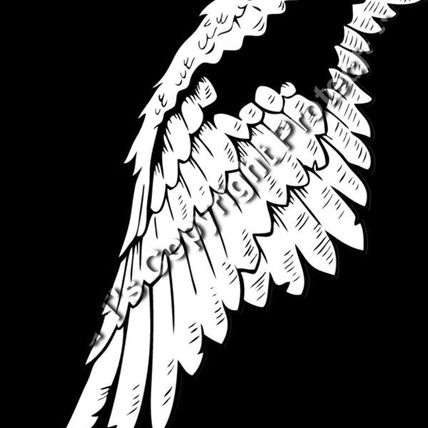 ES2wings005BW Thumbnail