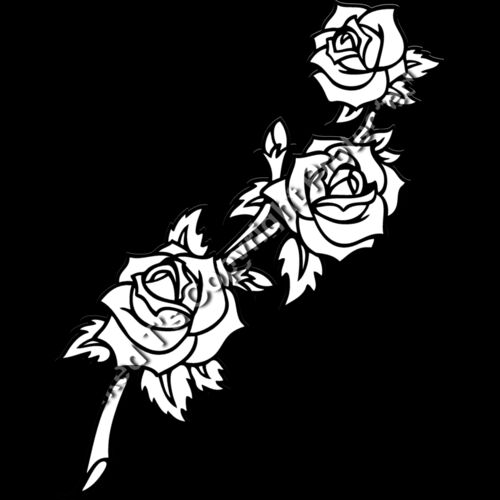 ES2rose004BW Thumbnail