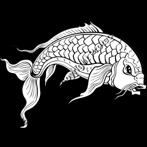 ES2asiankoi008BW Thumbnail