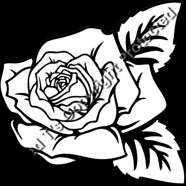 ES2rose002BW Thumbnail