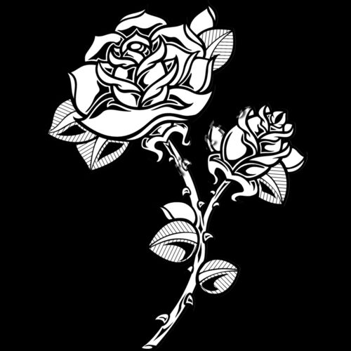 ES2rose003bw Thumbnail