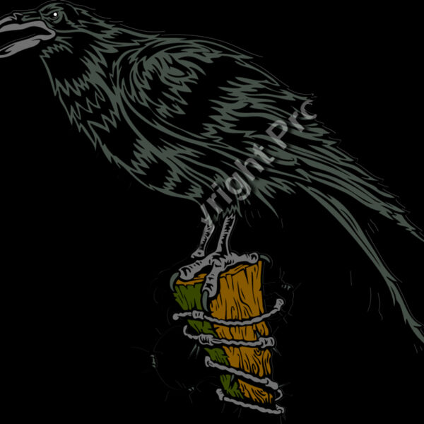 ES2raven001clr Thumbnail