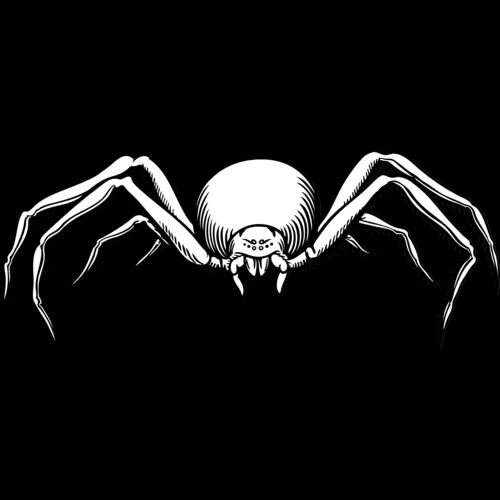 ES2spider007bw Thumbnail