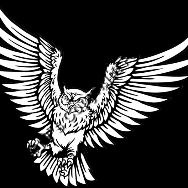 ES2owl001BW Thumbnail