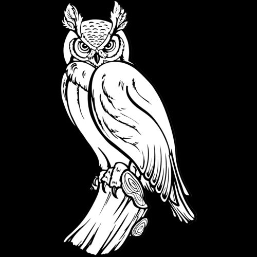 ES2owl002bw Thumbnail