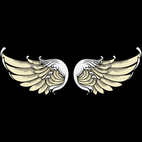 ES2wings007clr Thumbnail