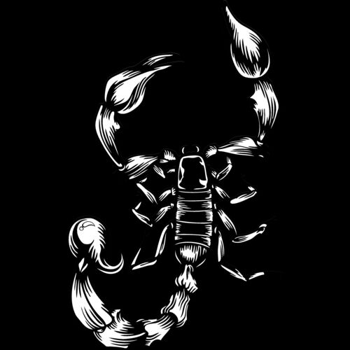 ES2scorpion001bw Thumbnail