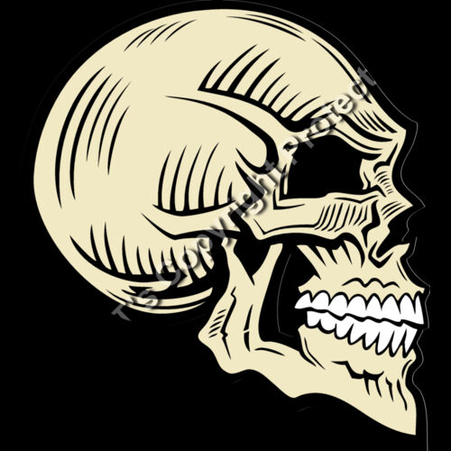 ES2skull025clr Thumbnail