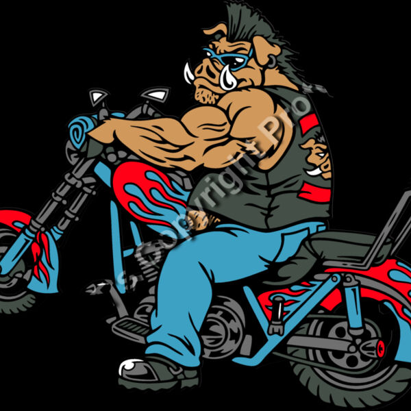 ES2hog004CLR Thumbnail