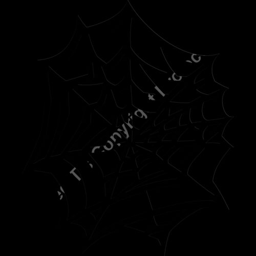 ES2web004bw Thumbnail