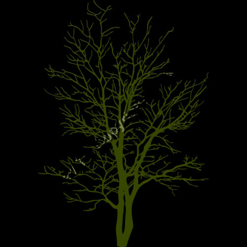 ES2tree007clr Thumbnail