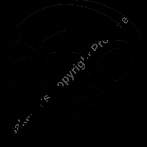 ES2tribal029BW Thumbnail