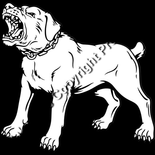 ES2rottweiler001BW Thumbnail