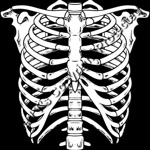 ES2bones003bw Thumbnail